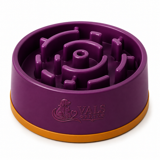 Maze Slow Feeder Dog Bowl