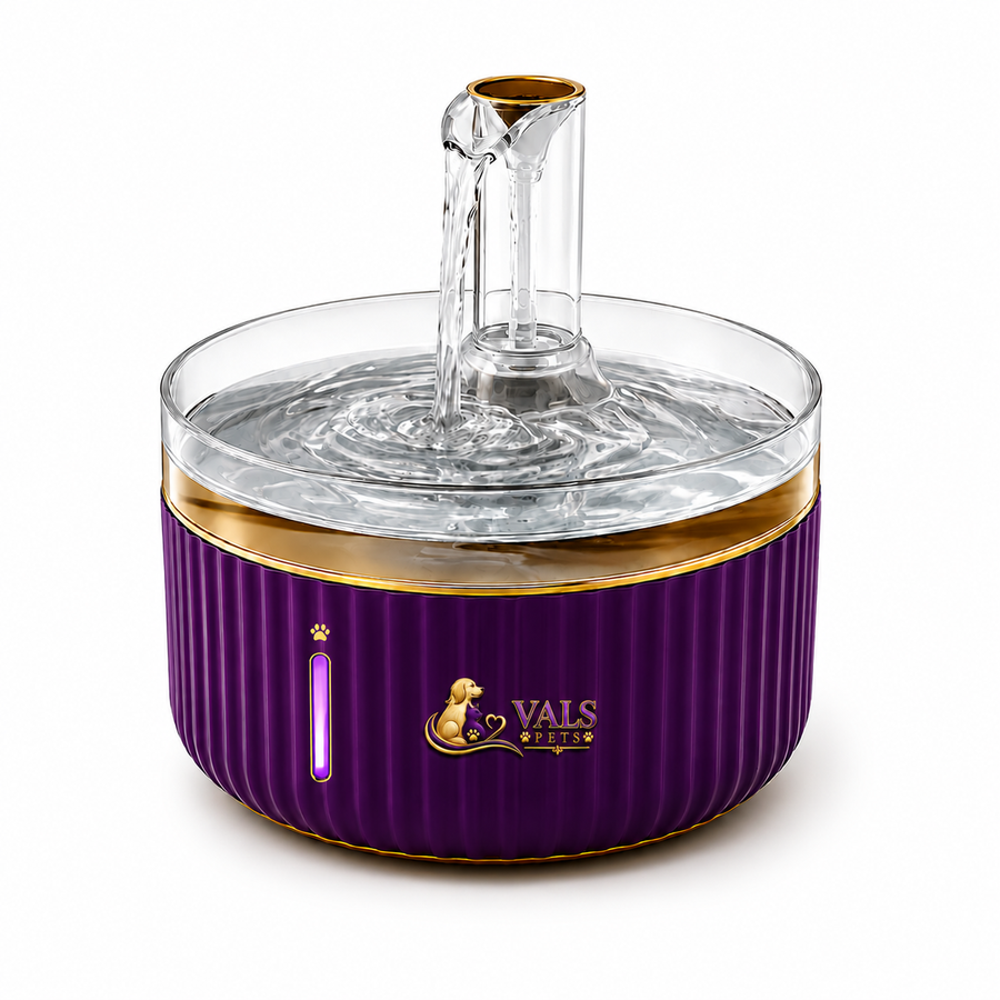 Pet Water Fountain