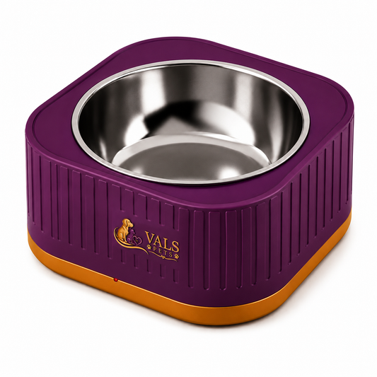 Raised Cat Feeding Bowl