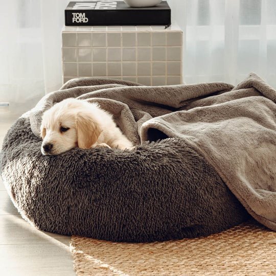 Calming Dog Bed & Weighted Blanket Bundle - Image 10