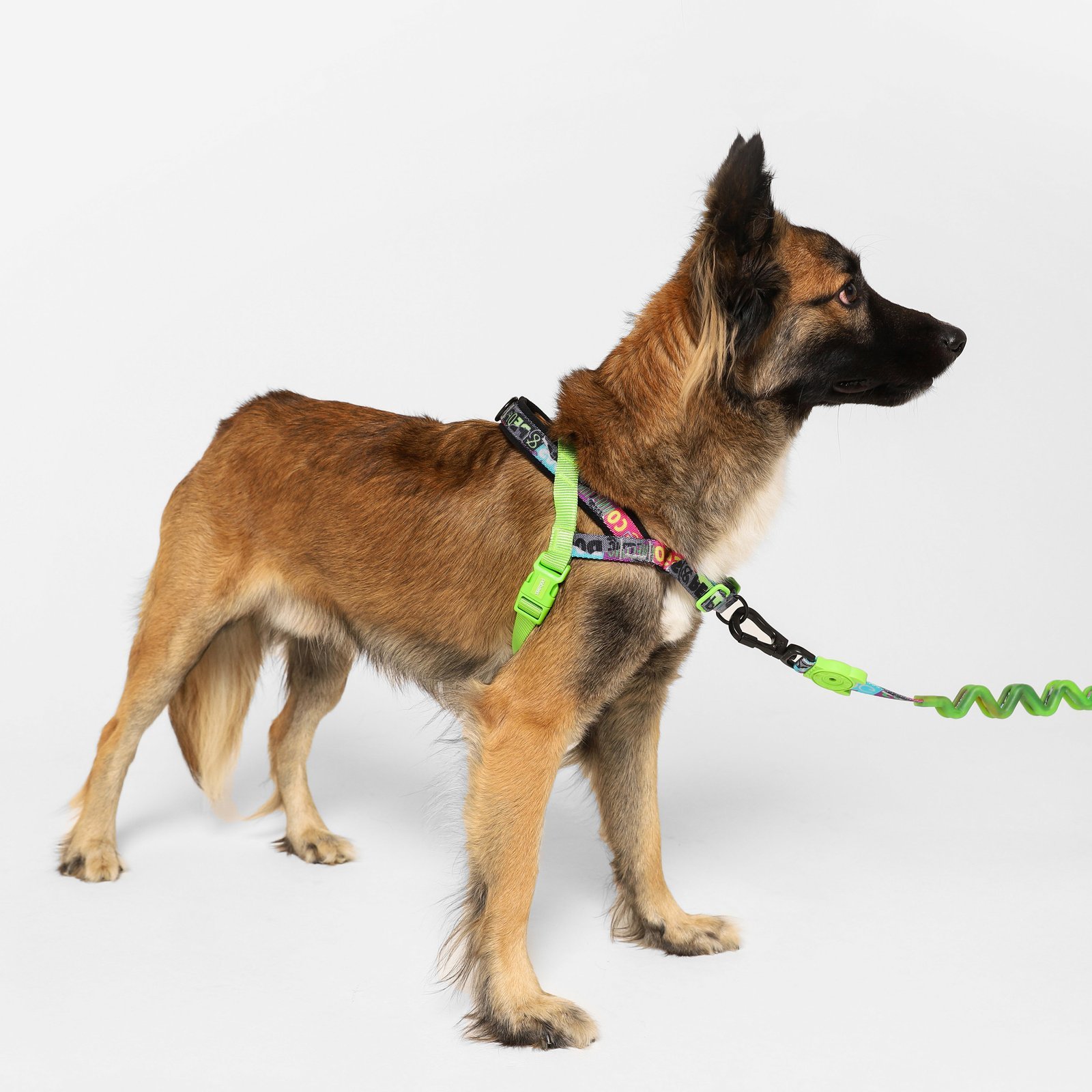 Manifesto | SofterWalk Harness - Image 2