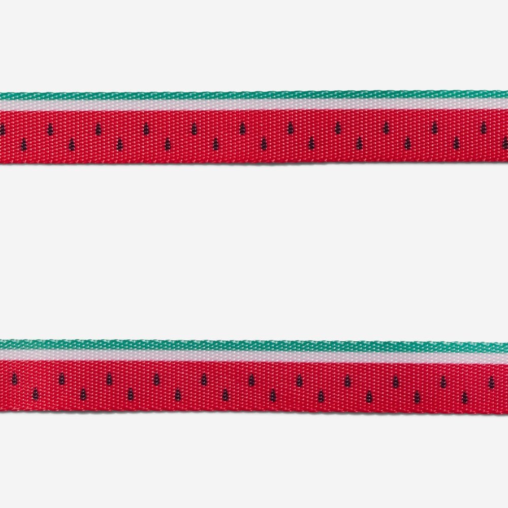 Lola | Cat Harness with Leash - Image 4