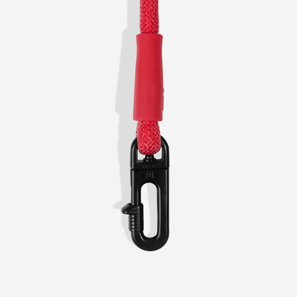 Spider-Man | Hands-Free Leash - Image 5