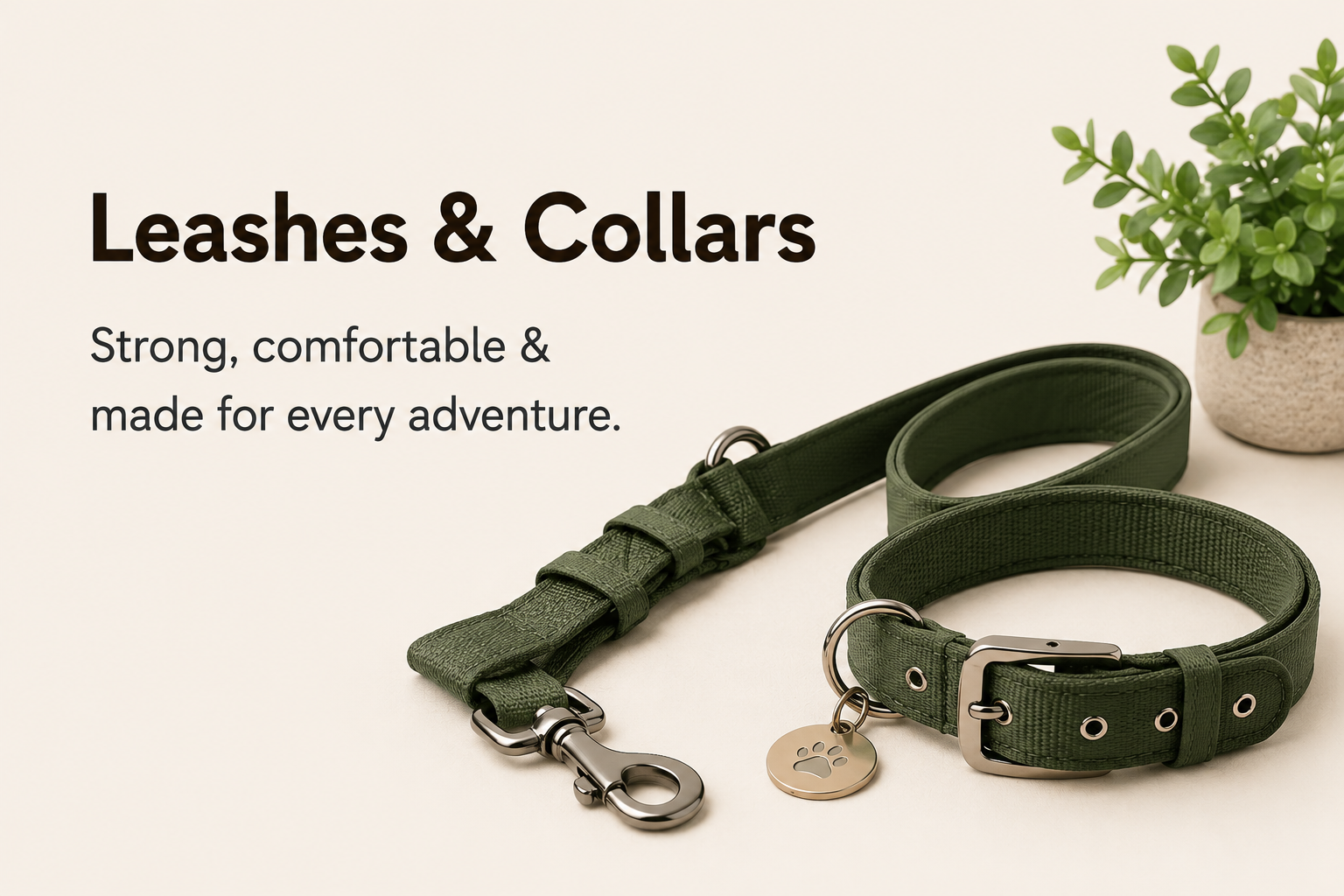 Leashes & Collars